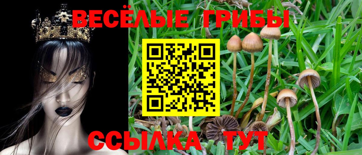 Галлюциногенные грибы мицелий Ачхой-Мартан