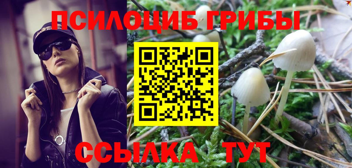 Псилоцибиновые грибы ЛСД  Вход с VPN  Ачхой-Мартан 